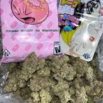 kerri sutton - @rockstarft21 - Instagram