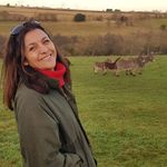 Kerry sutton - @kerry.a.sutton - Instagram