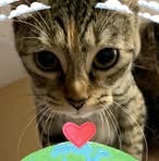 Kerry Thornton - Facebook