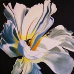 Kerri Wall - @wallkerri - Instagram