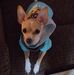 Kerri Warren - Facebook