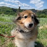 Kerry Weber - @grandpa.kerry - Instagram