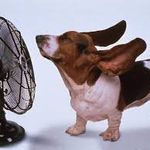 Kerri Wells - @double.duckling - Instagram