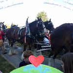 Kerri Wells - @kerri.wells.528 - Instagram