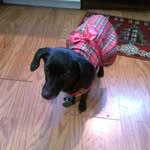 Kerry Wenzel - @kerrbear3311 - Instagram