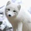 Kerrie Barton - @kerrie.barton - TikTok