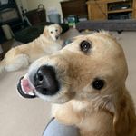 Kerrie Bruce - @nadadance - Instagram