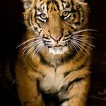 Kerrie Cameron - @kerrie.cameron.12 - Instagram