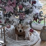 Kerrie Clark - @kerrie.clark.7547 - Instagram