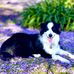Kerrie Clark - Facebook