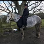 Kerry Davidson - @k.b_equestrian - Instagram