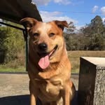 Kerrie Elliott - @kerrie.elliott.54 - Instagram