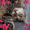 kerrieelliott7 - @kerrieelliott7 - TikTok