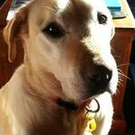 Kerry Farley - @kerry.farley.165 - Instagram