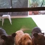 @kerriefreeman.kf - Instagram