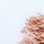 The Wonderful Wigs of OZ! - @kerriehall - Instagram