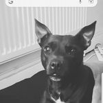 Kerry Holmes - @kerry.holmes - Instagram