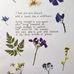 Kerrie Jackson - Facebook