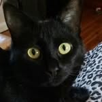 Kerrie King - @kerrie.king.520 - Instagram