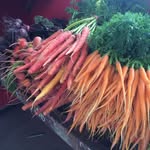 Kerrie King - @kingsmarketgarden - Instagram
