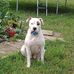 Kerrie Matthews - Facebook