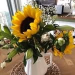 Kerrie Morrison - @kerriem10 - Instagram