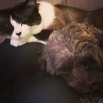 Kerrie Phillips - @phillipskerrie - Instagram