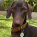 Kerrie Robinson - Facebook