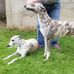 Kerrie Robinson - Facebook