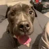 kerrie 🫶🏻 - @kerrierose.xo - TikTok