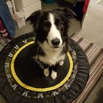 Kerrie Thompson - @kerrie.thompson82 - Instagram