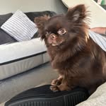 Kerry Leeann Wallis - @kerrywallis79 - Instagram