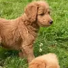Kerrie White - @kerrie.white7 - TikTok