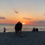 Kerry Wolf - @wolf_kerry - Instagram