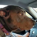 Kerry Allen - @kerry.allen.9212 - Instagram