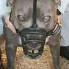 Kerry Allen - @2159629677 - TikTok