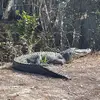 Kerry Andrews66 - @kerry.andrews66 - TikTok