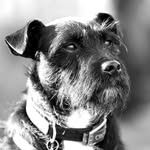 Kerry Andrews - @davethepatterdale - Instagram