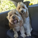 Kerry Andrews - @kerrytempler - Instagram