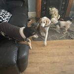 Kerry Annis - @kicky123a - Instagram