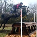 kerry Appleton - @equestrian_ka - Instagram