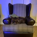 Kerry Bate - @bate.kerry - Instagram