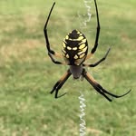 Jolene baughman - @kerrybaughman - Instagram