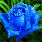 Kerry Berry - @kerryberrypassion - Instagram