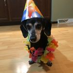 Kerry - @kerryboehm08 - Instagram