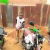 Kairo Bonny - Facebook