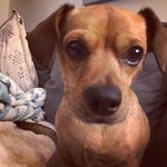 Kerry Bonner - @kerryanne71 - Instagram