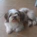 Kerri Boylan - Facebook