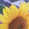 Kerri King Brannon - @kerri.king.branno - TikTok