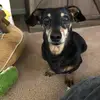 Kerry - @kabrannon - TikTok